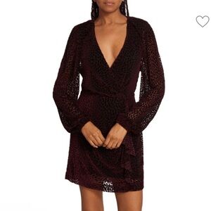 Ramy Brook Aman embroidered minidress in plum